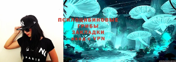 гашик Алзамай