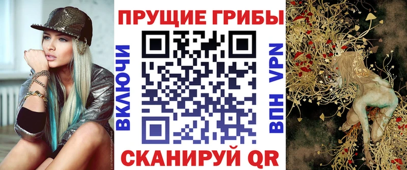 где купить Игра Галлюциногенные грибы MAGIC MUSHROOMS